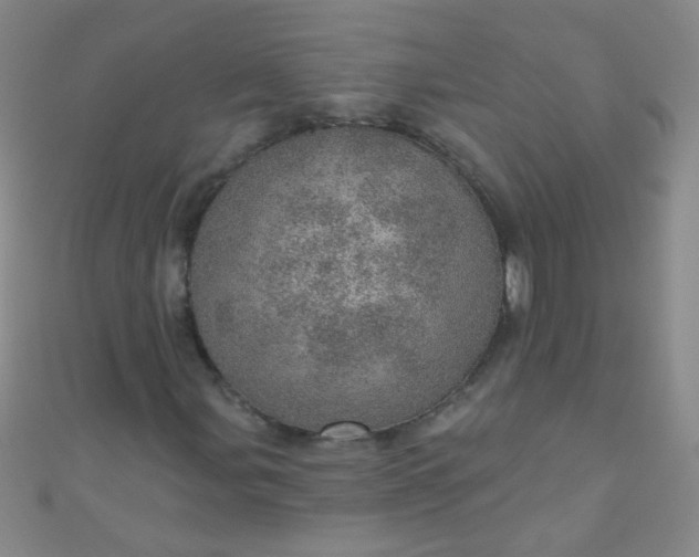 X0000110981107200907022049