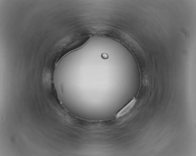 X0000110981108200907022049