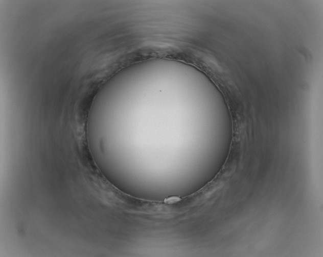 X0000110981109200907022050