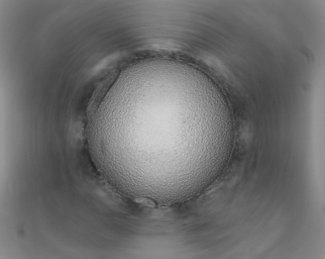 X0000110981110200907022050