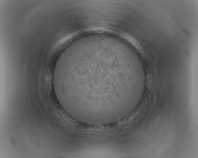 X0000110981111200907022050