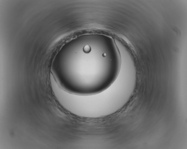 X0000110981112200907022050