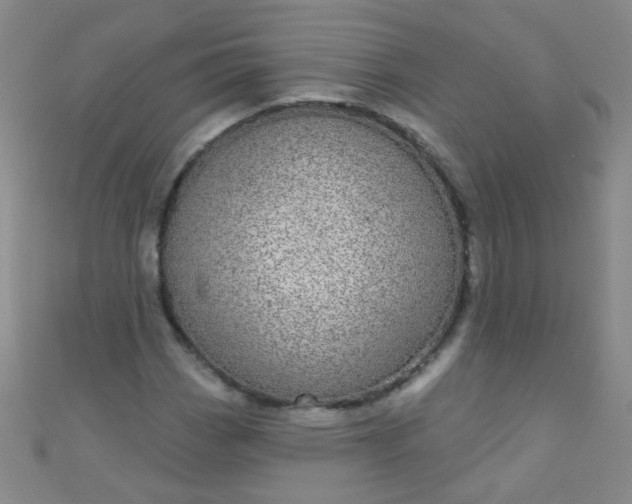 X0000110981113200907022050