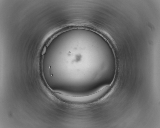 X0000110981114200907022050