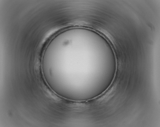 X0000110981115200907022050