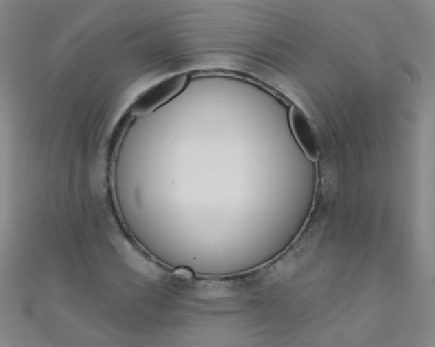 X0000110981116200907022050