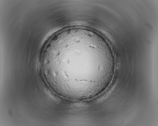 X0000110981117200907022050