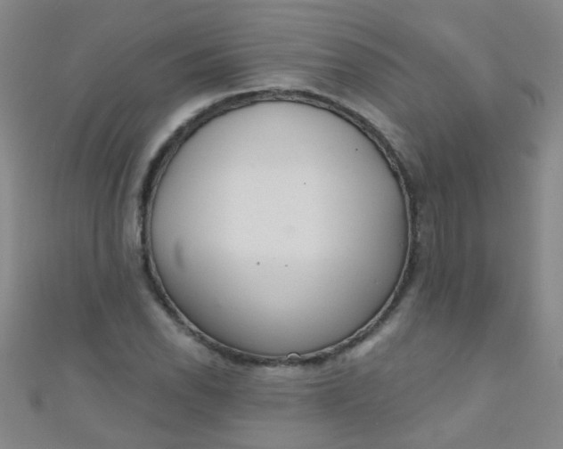 X0000110981118200907022050