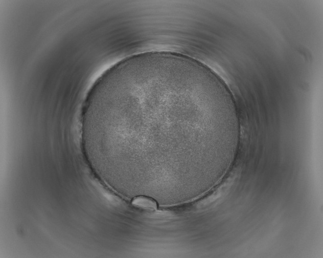 X0000110981119200907022050