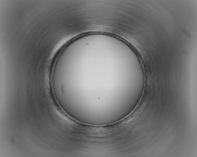 X0000110981120200907022050