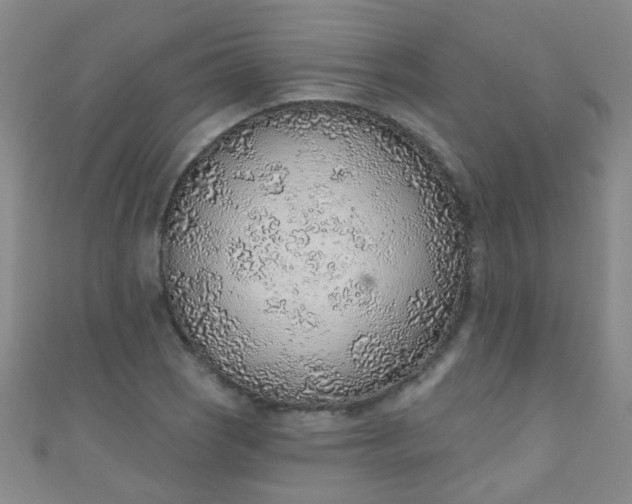 X0000110981121200907022050