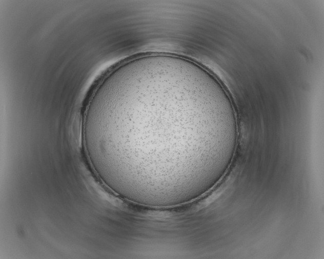 X0000110981123200907022050