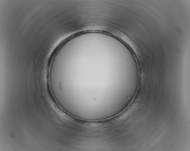 X0000110981124200907022050