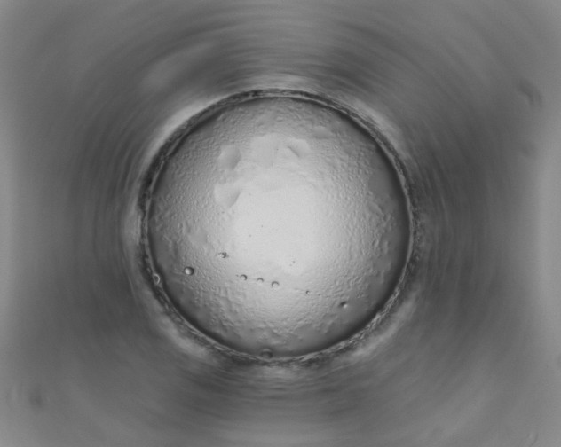 X0000110981125200907022050