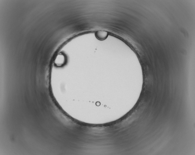 X0000110981126200907022050