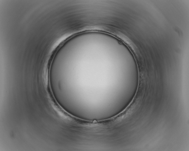 X0000110981127200907022050