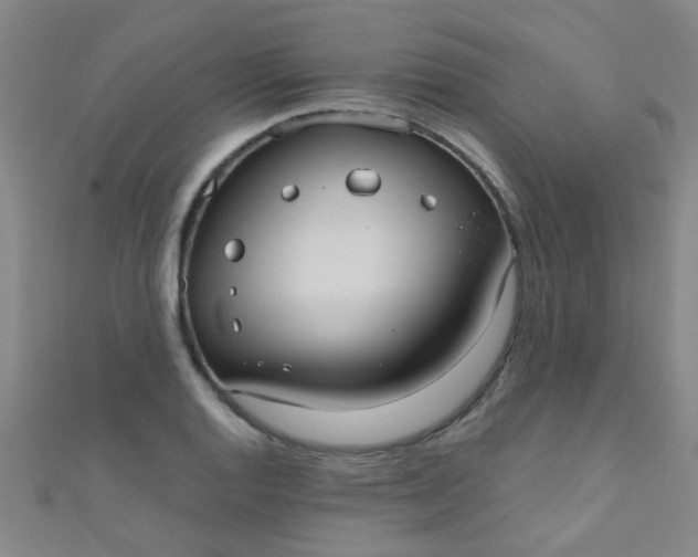 X0000110981128200907022050