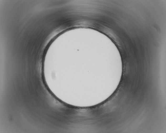 X0000110981130200907022050