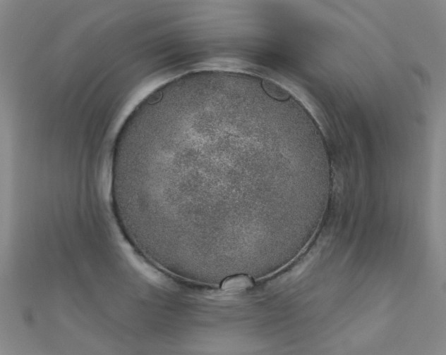 X0000110981131200907022050