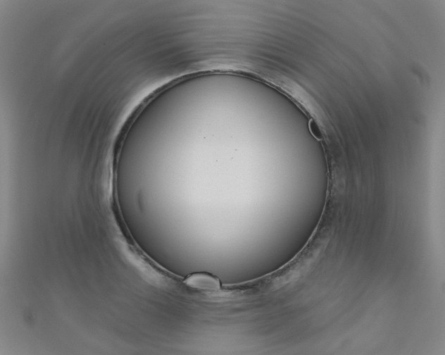 X0000110981132200907022050