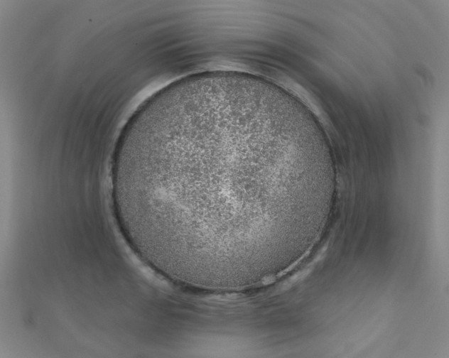 X0000110981133200907022050