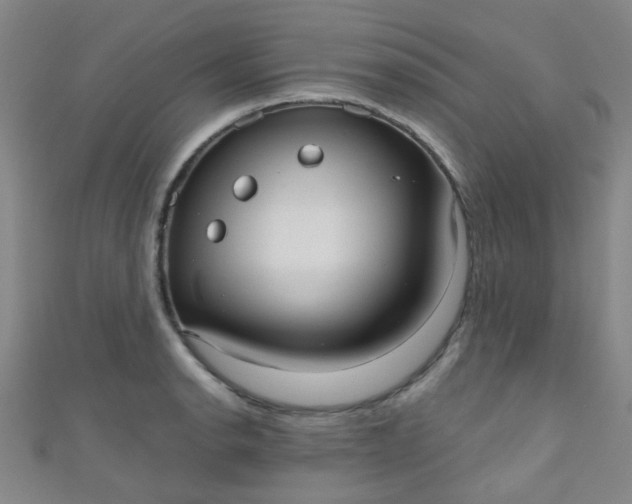 X0000110981134200907022050