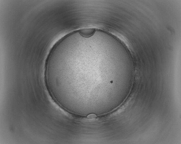 X0000110981135200907022050