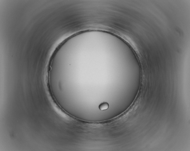 X0000110981136200907022050