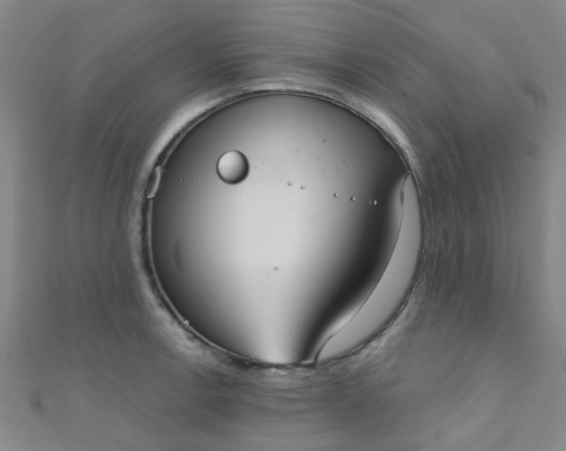 X0000110981138200907022050