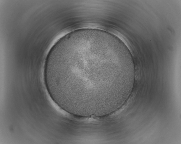 X0000110981139200907022050