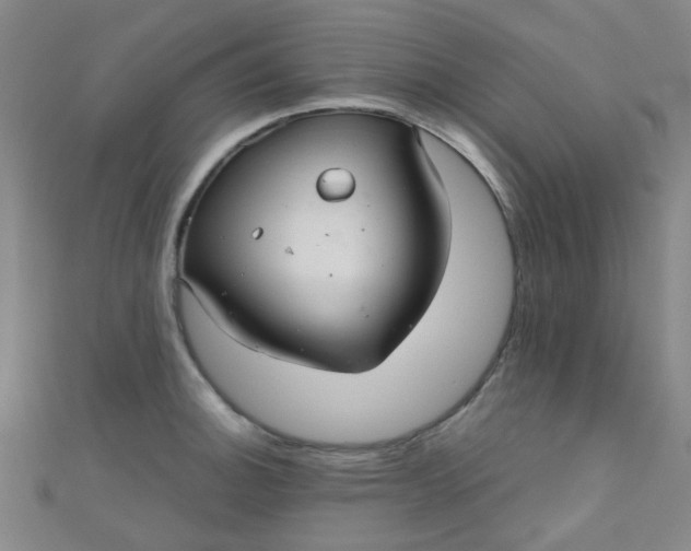 X0000110981140200907022050