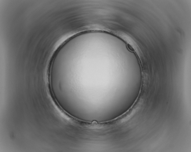 X0000110981141200907022050