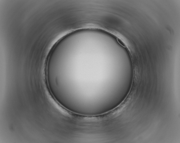 X0000110981142200907022050