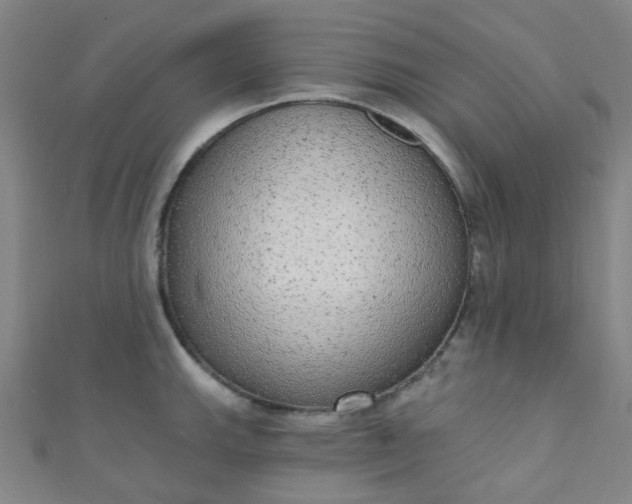 X0000110981143200907022050