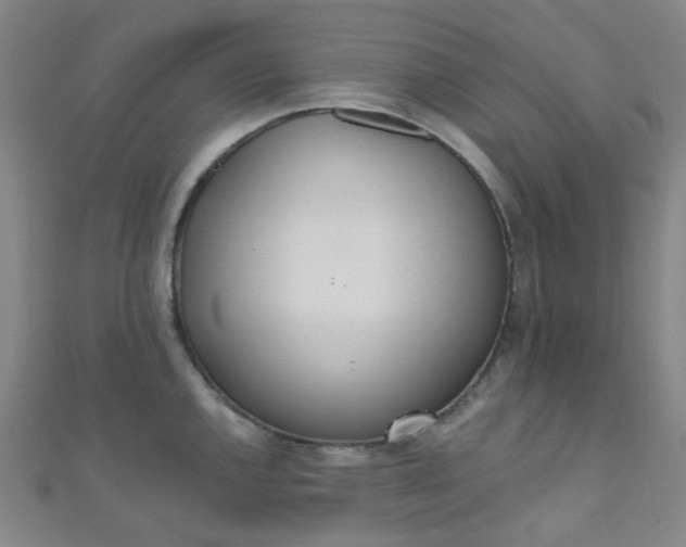 X0000110981144200907022050