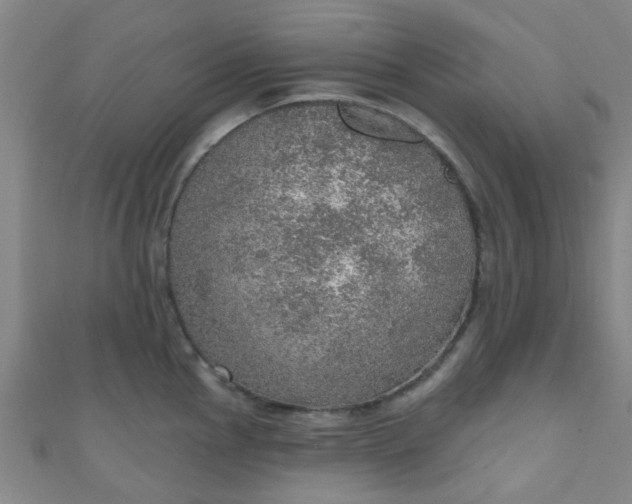 X0000110981145200907022050