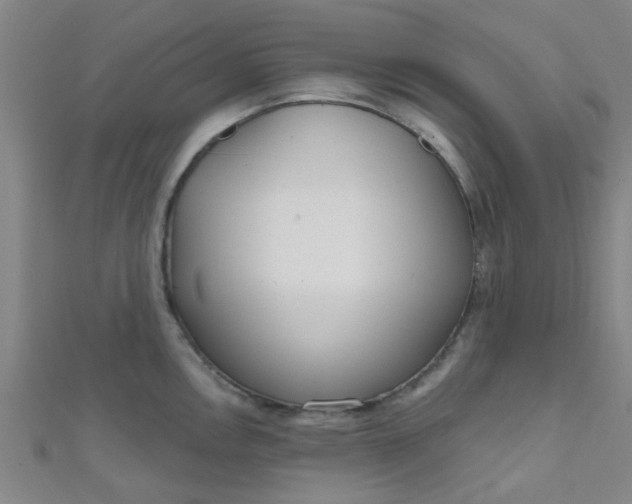 X0000110981146200907022050