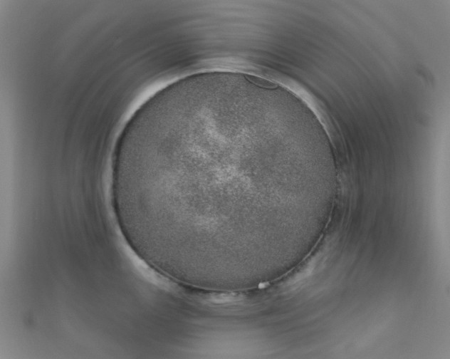 X0000110981147200907022050