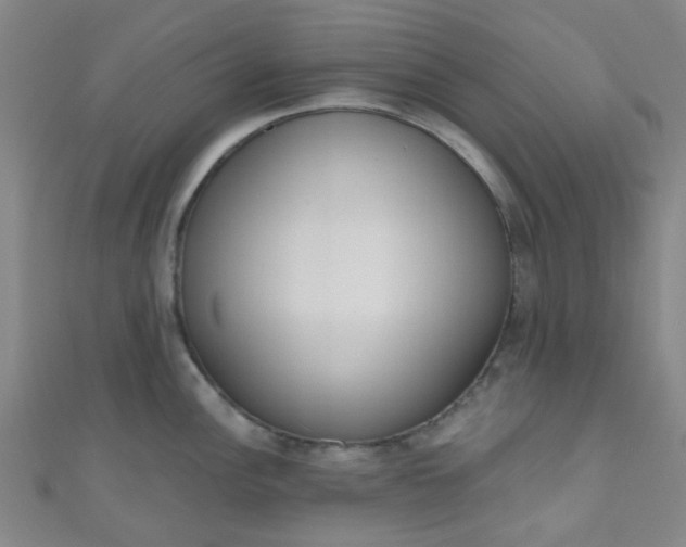 X0000110981148200907022050