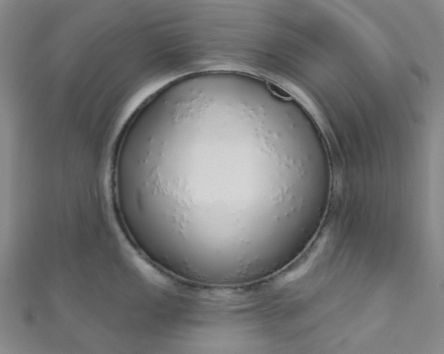 X0000110981149200907022050