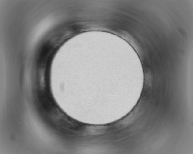 X0000110981150200907022050