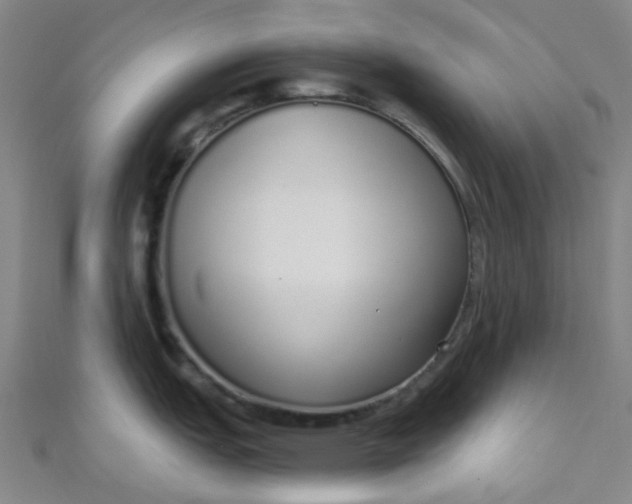 X0000110981151200907022050