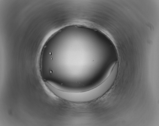 X0000110981152200907022050