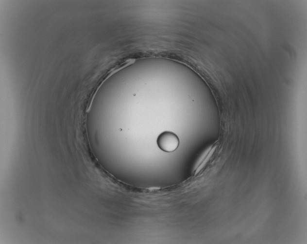 X0000110981153200907022049