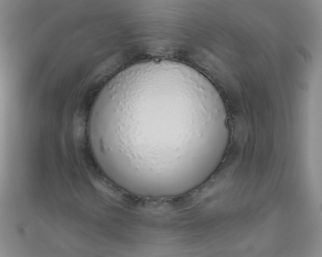 X0000110981154200907022049