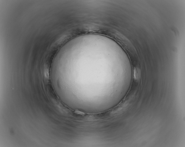 X0000110981155200907022049