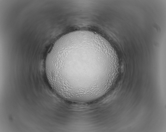 X0000110981156200907022049