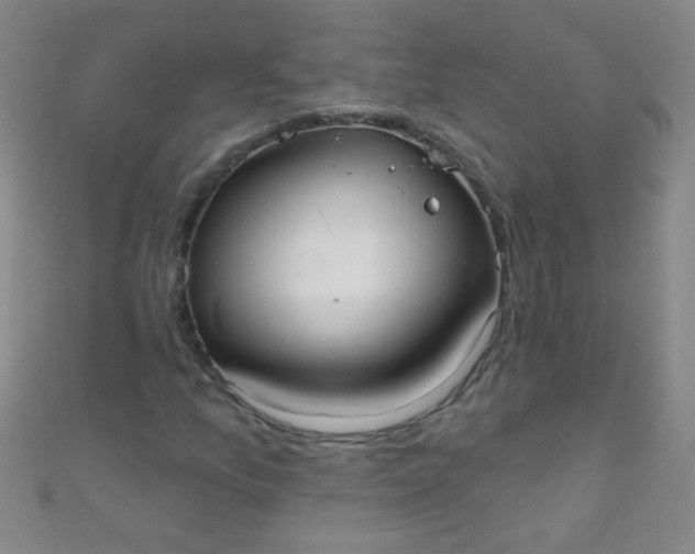 X0000110981157200907022049