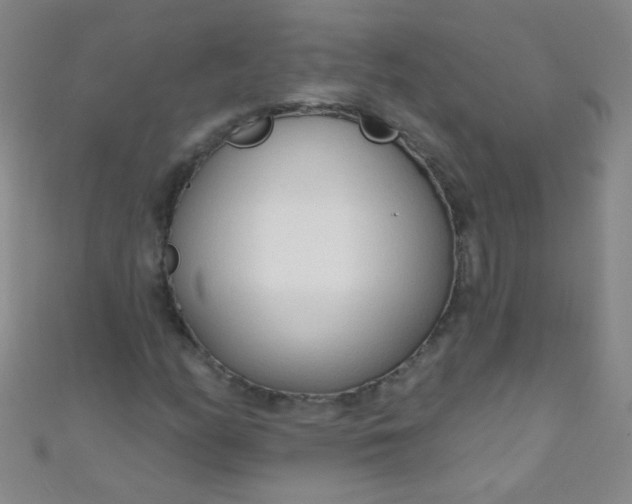 X0000110981158200907022049