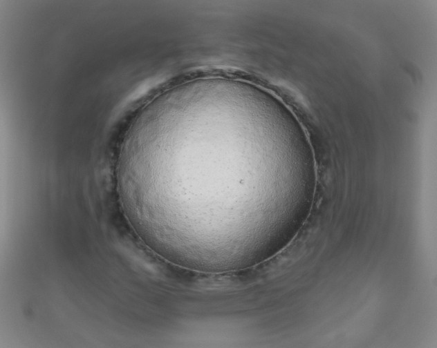 X0000110981159200907022049